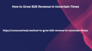 How to Grow B2B Revenue in Uncertain Times