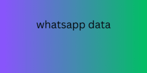 whatsapp data